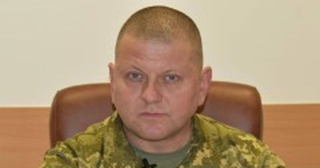 Валерий Залужный Родители Национальность: подробности биографии и карьеры