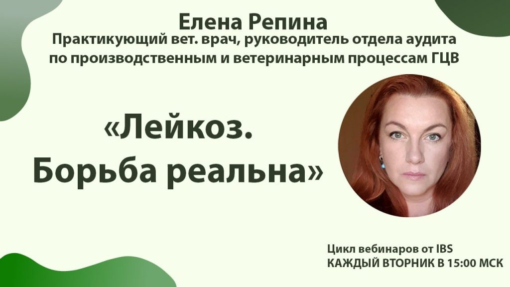 Елена Репина Личная Жизнь: подробности и ключевые факты
