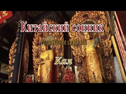 К Чему Снится Кал Женщине: Толкование и Символика