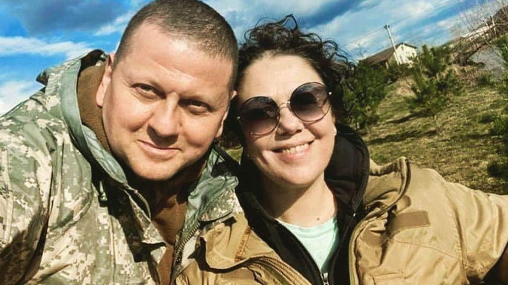 Валерий Залужный Настоящая Фамилия: подробный обзор биографии и карьеры