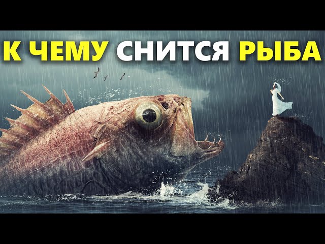 К Чему Снится Рыба: Значение, Символика и Толкование
