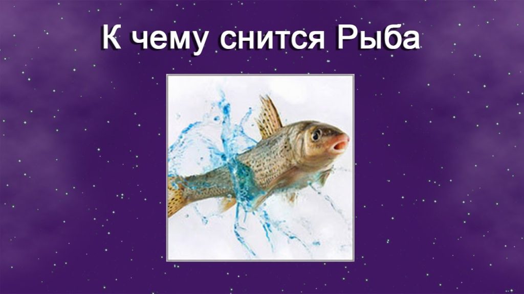 К Чему Снится Рыба: Значение, Символика и Толкование