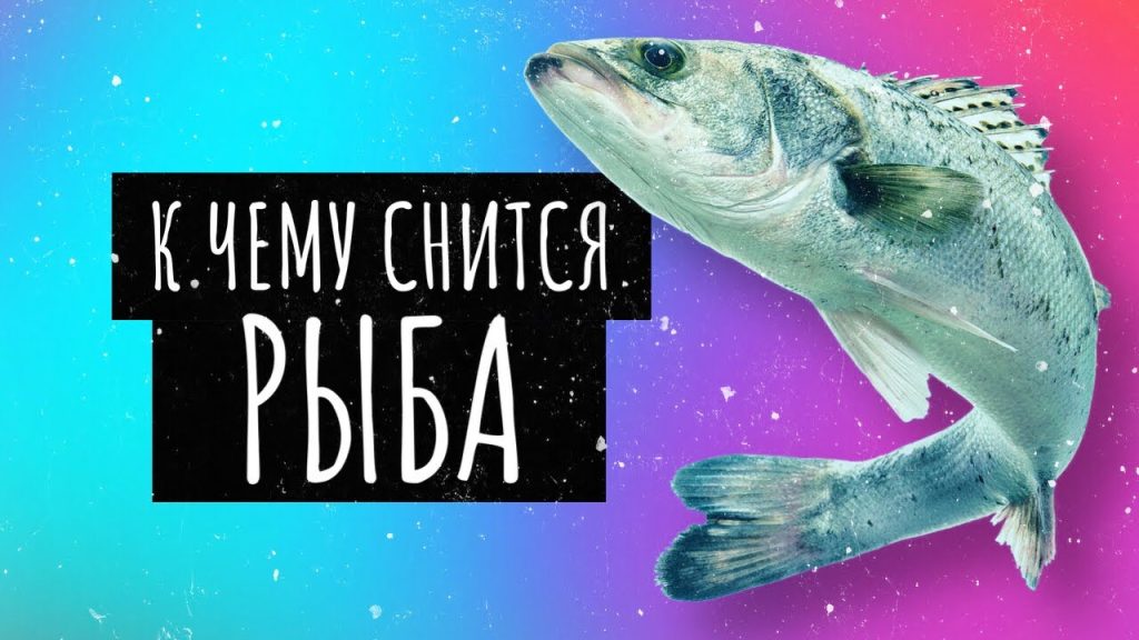 К Чему Снится Рыба: Значение, Символика и Толкование