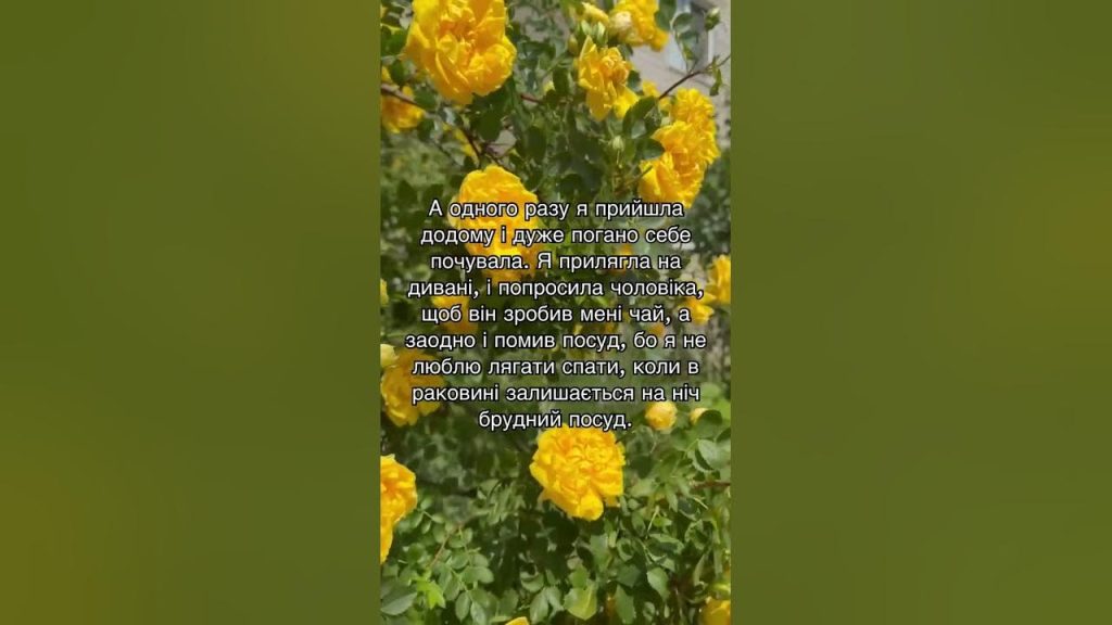 Колишній Чоловік Квіткової: біографія, кар'єра та особисте життя