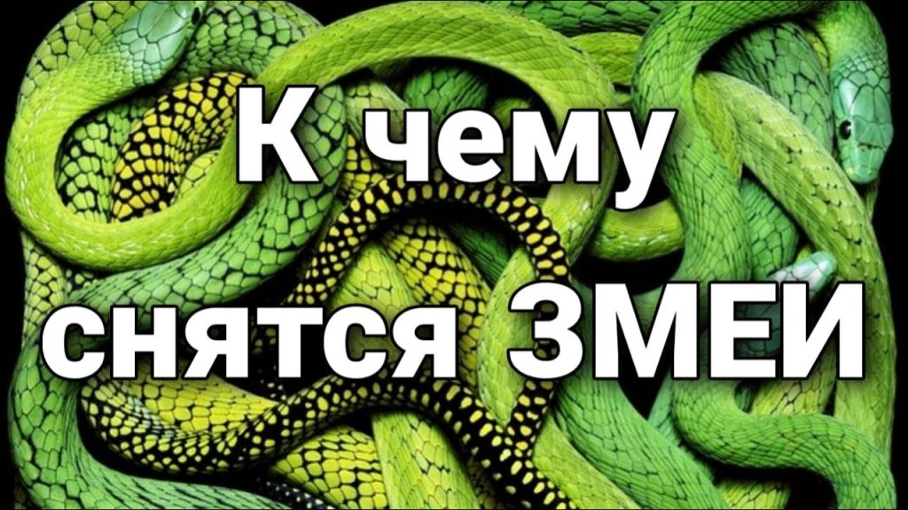 К Чему Снится Змея: Толкование и Значение Сновидения