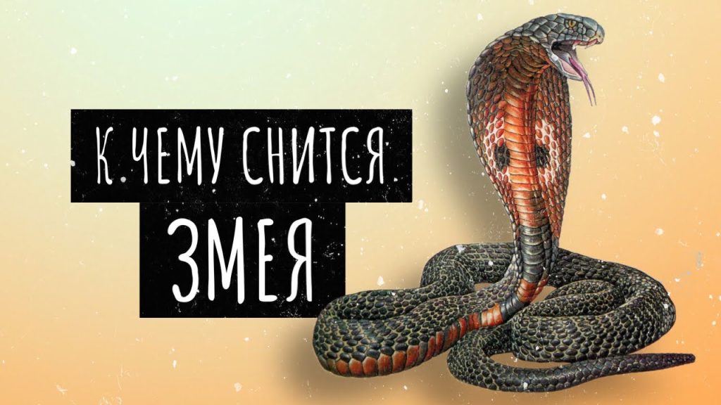 К Чему Снится Змея: Толкование и Значение Сновидения