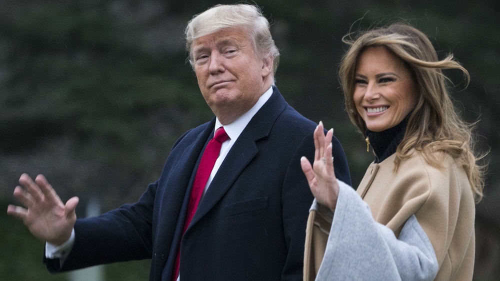 Жена Трампа Мелания: жизнь, карьера и роль в семье