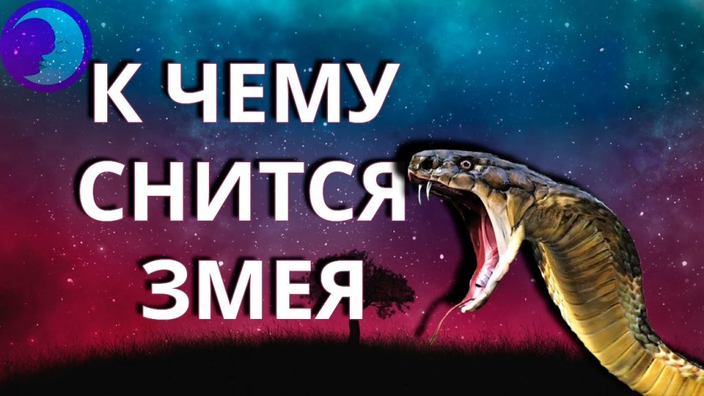 К Чему Снится Змея: Толкование и Значение Сновидения
