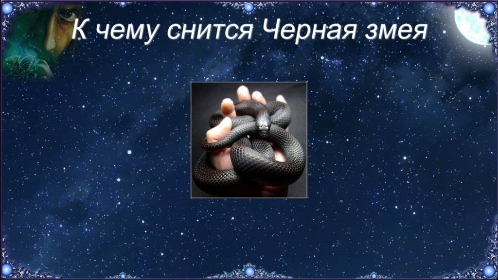 К Чему Снится Змея: Толкование и Значение Сновидения