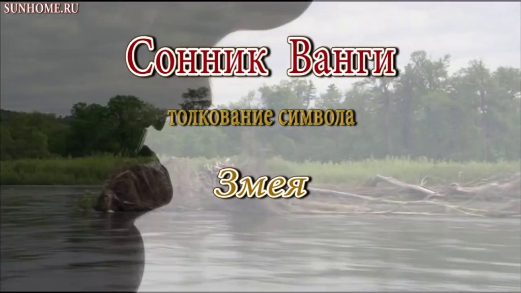 К Чему Снится Змея: Толкование и Значение Сновидения