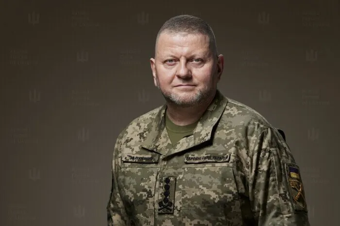 Залужний Біографія: Життя, Кар'єра та Особистість